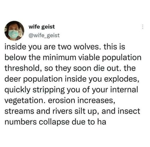 inside oyu are two wolves, this is blow the minimum viable population threshold, so they soon die out. the deep population inside you explodes, quickly stripping you of your internal vegetation. erosion increases, streams and rivers silt up, and insect numbers collapse due to ha