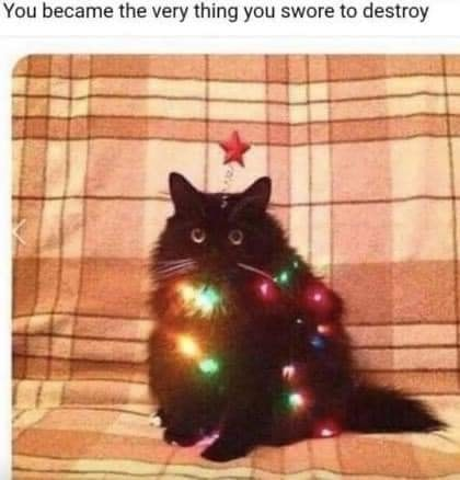 Cat dressed more or less like a Christmas tree.