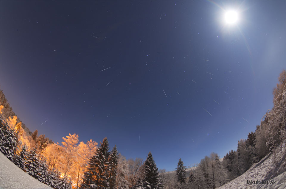 Geminid Meteors over a Snowy Forest