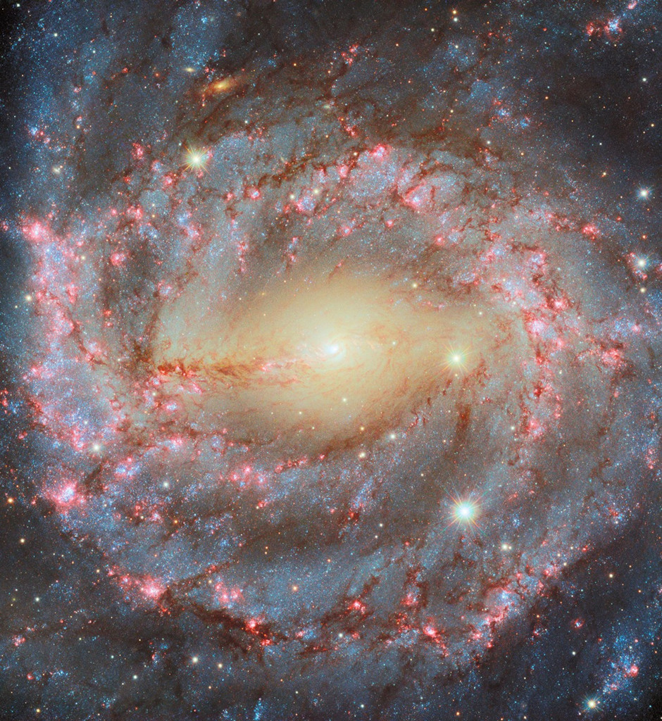 Grand Spiral NGC 5643