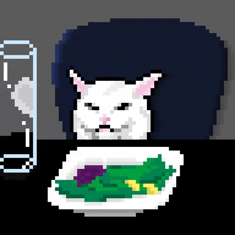 Cat Meme GIF by MOODMAN