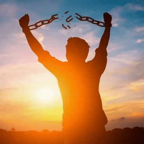 Instagram Im Free GIF
