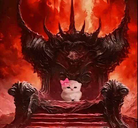 Cat Kitty GIF