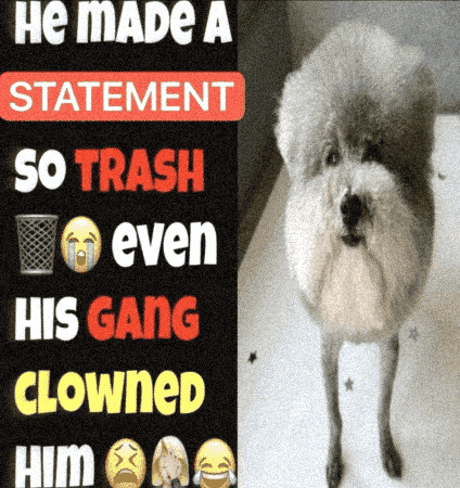 Funny Dog GIF