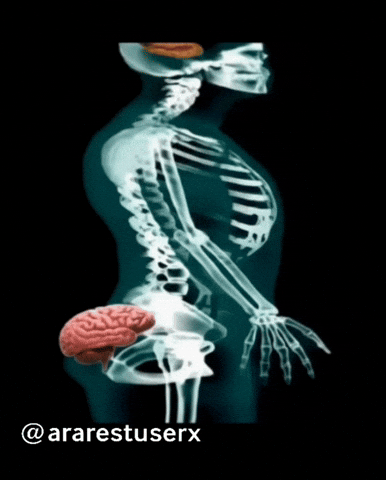 The Brain GIF