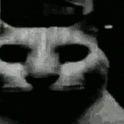 Cat Face GIF