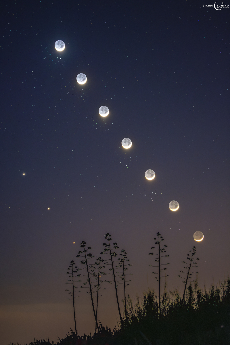 The Moon, Venus, and the Pleiades