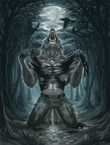 Wolf Twilight GIF