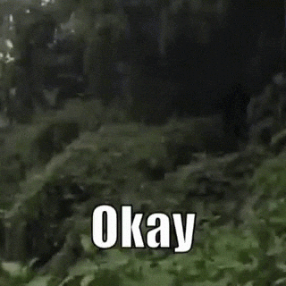 GIPHY Meme