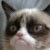 Group logo of Cat Meme’s